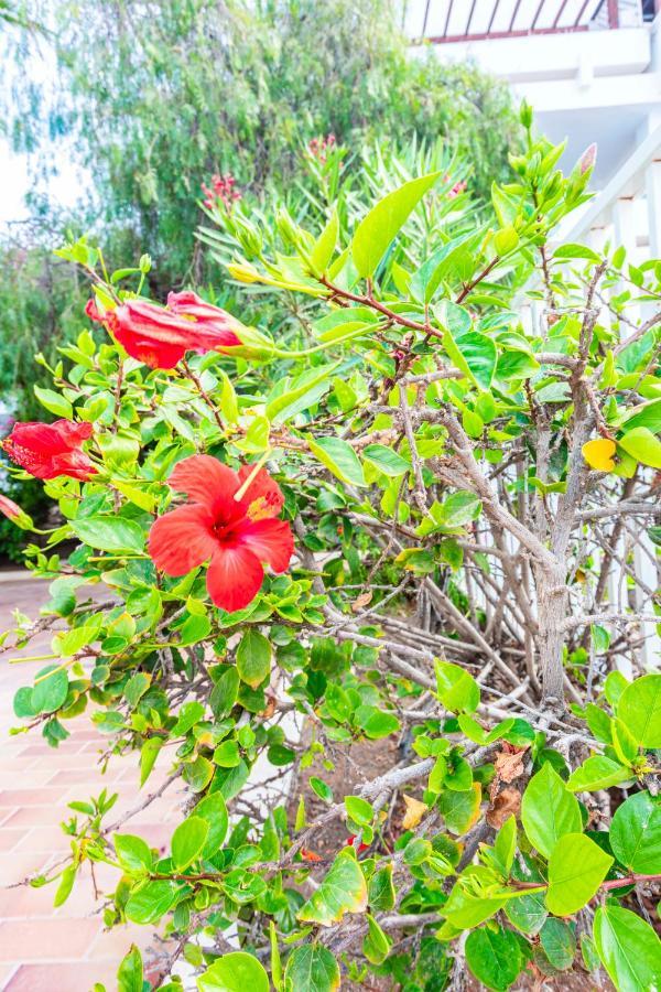 Vivienda Vacacional Sea Garden Costa Teguise Exteriör bild